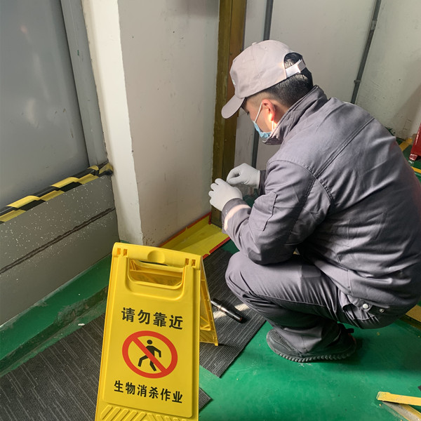 專(zhuān)家支招家庭滅蟻方法